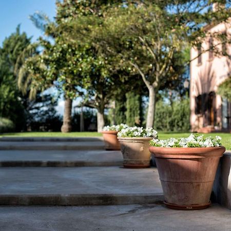 Agriturismo Sant'Uberto Bolgheri Kültér fotó