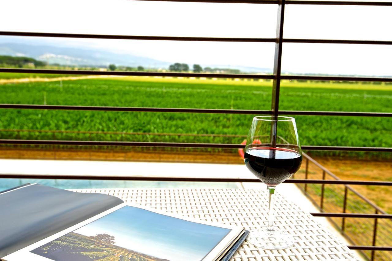 Agriturismo Sant'Uberto Bolgheri Kültér fotó