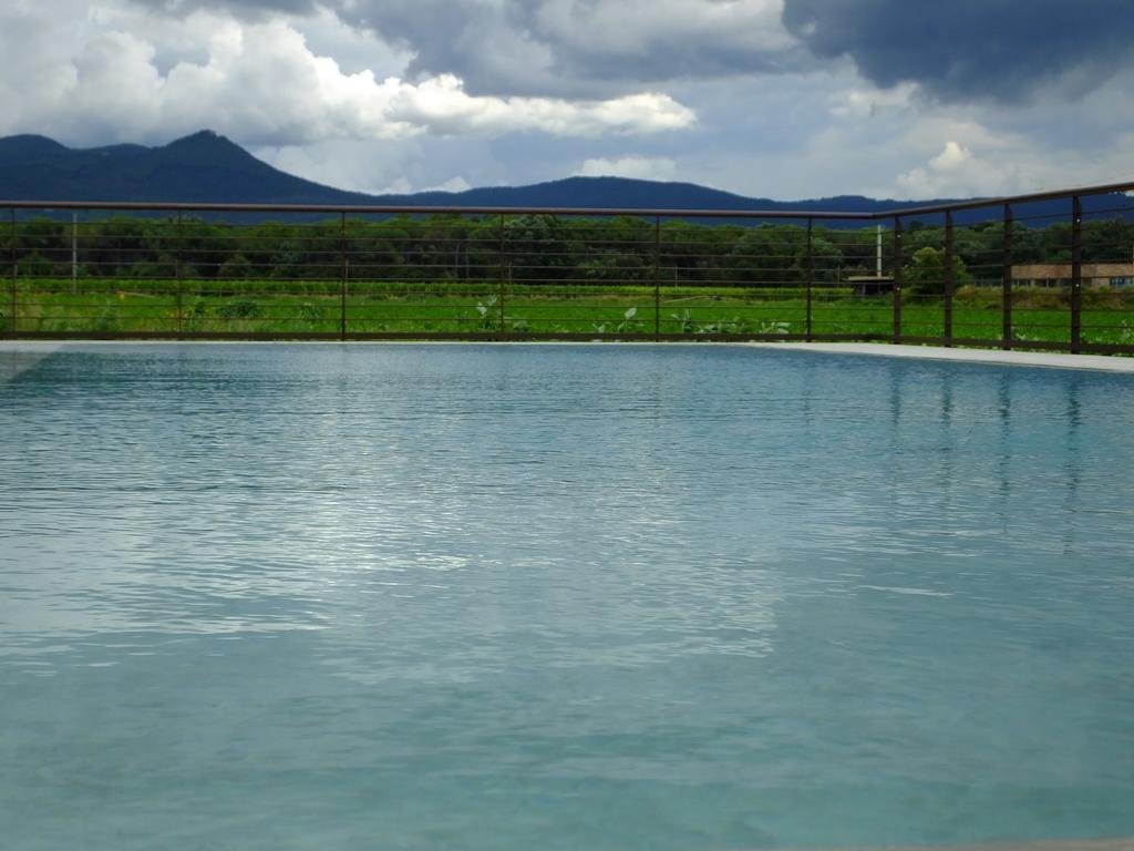 Agriturismo Sant'Uberto Bolgheri Kültér fotó