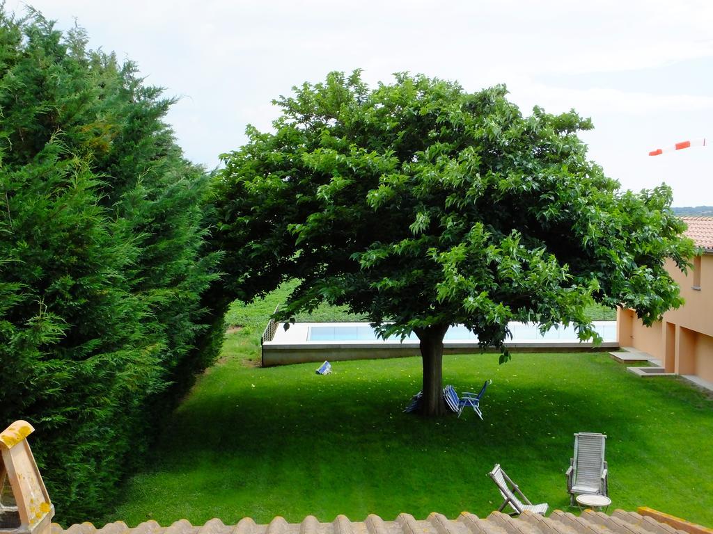 Agriturismo Sant'Uberto Bolgheri Kültér fotó