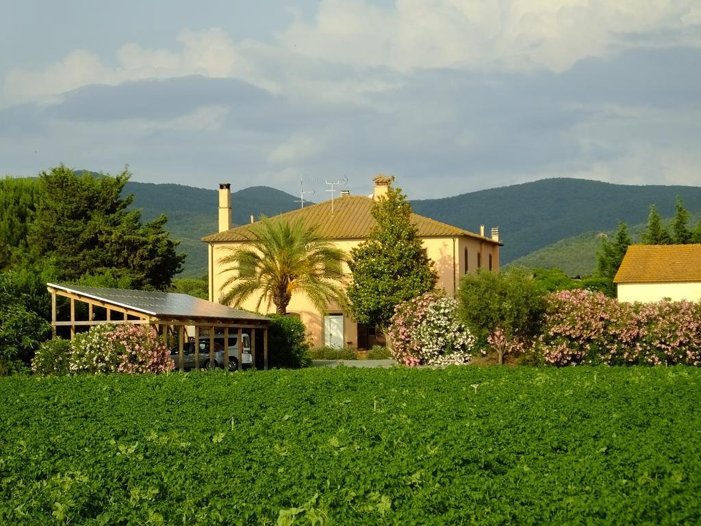 Agriturismo Sant'Uberto Bolgheri Kültér fotó