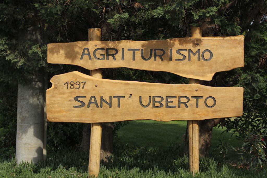 Agriturismo Sant'Uberto Bolgheri Kültér fotó