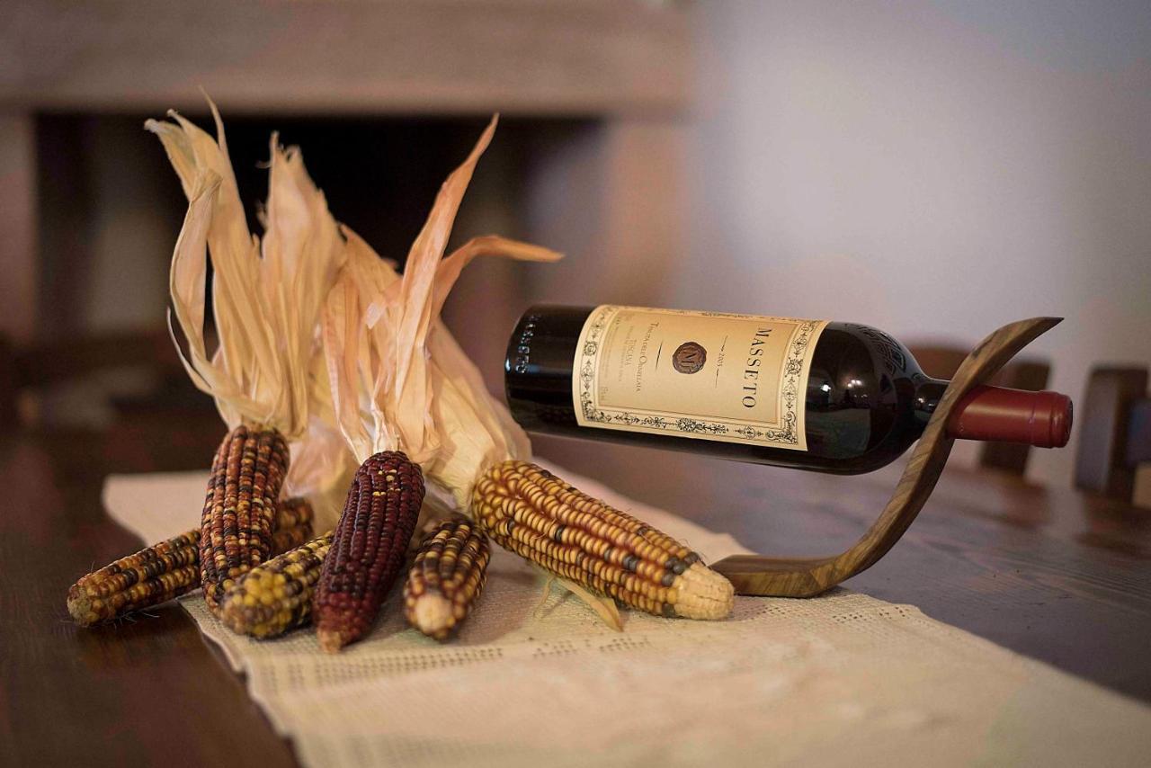 Agriturismo Sant'Uberto Bolgheri Kültér fotó